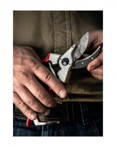 FELCO 2 Gartenschere