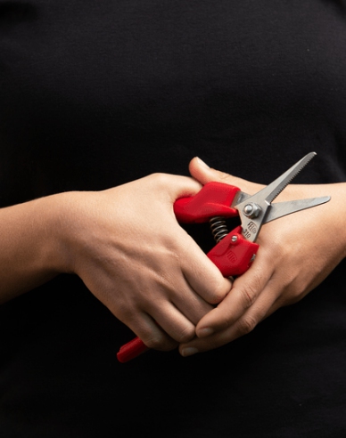 FELCO 310 Ernteschere