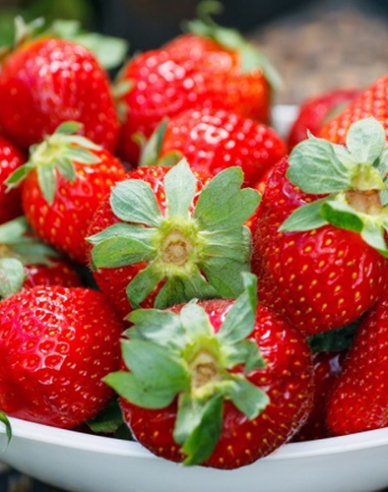 Erdbeere Diamant  immertragende