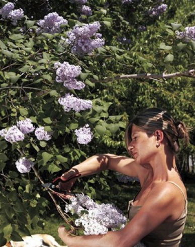 FELCO 160L Gartenschere