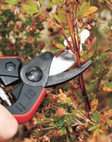 FELCO 160S Gartenschere