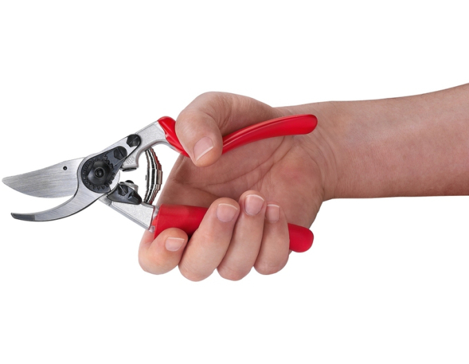 FELCO 8 Schere + FELCO 701 - XL Handschuhe
