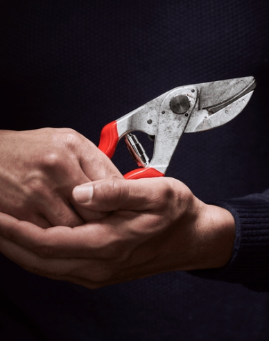 FELCO 32 Amboss-Schere