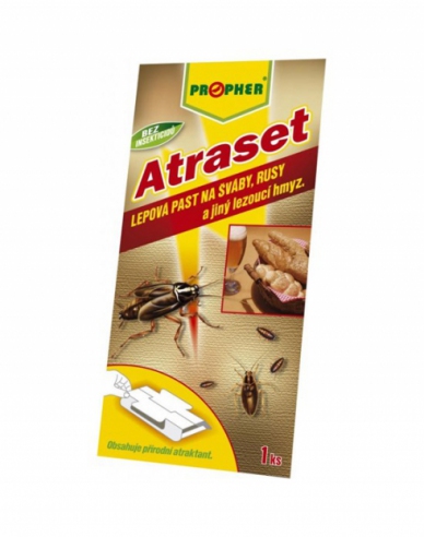 ATRASET Leimfalle 1St.