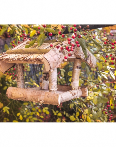 Vogelfutterhaus Nr.2