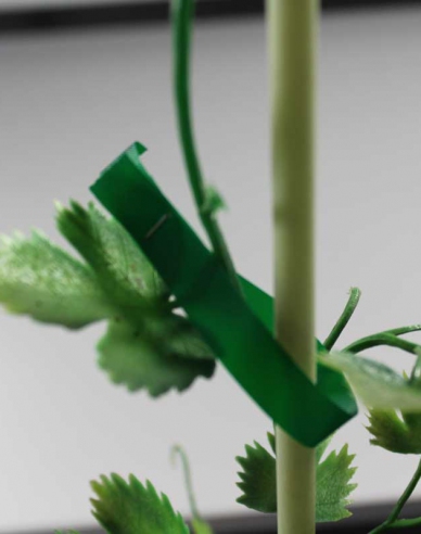 Klammern für Bindezangen