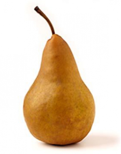 Par ‘Bosc’, toamnă, portaltoi Dula, intermediar ‘Conferință’, rădăcină liberă