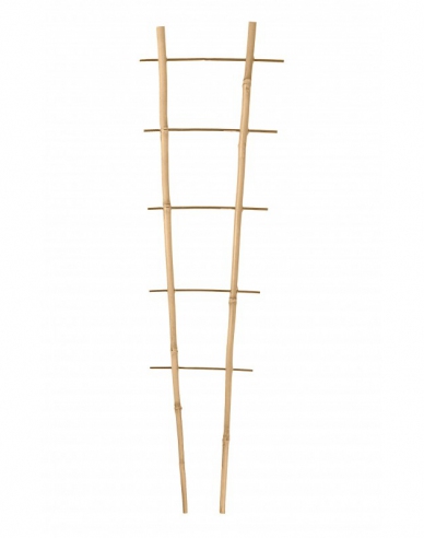 Bambusstütze doppelte  PB2 180cm