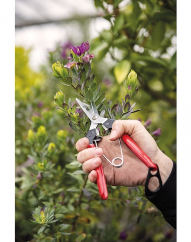 FELCO 322 Ernteschere