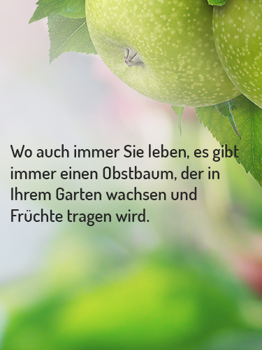 Ovocné stromy AT - Flormax.de